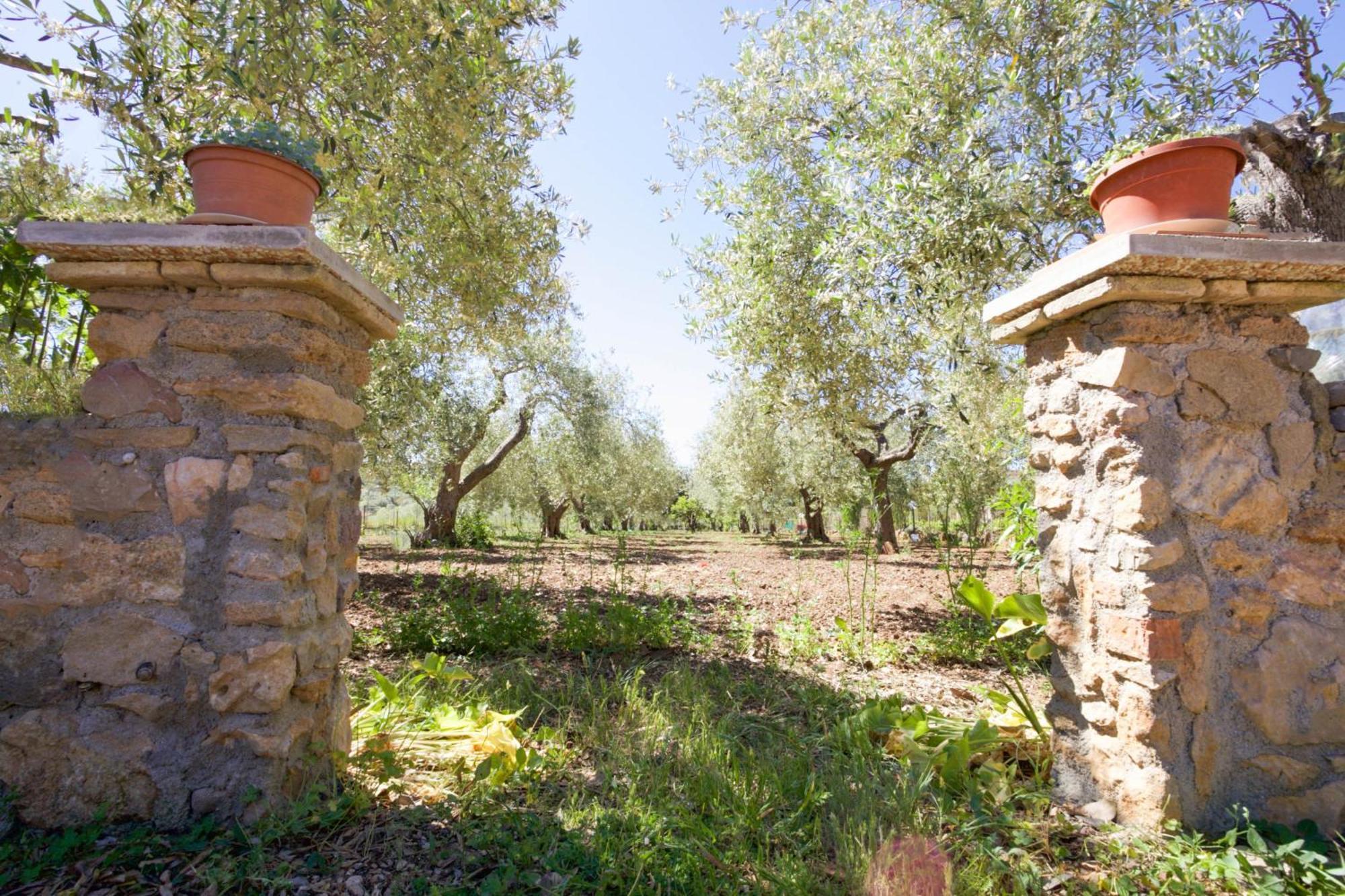 Villa Pedra Moro Алгеро Екстериор снимка